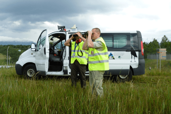 Wildlife Hazard Management